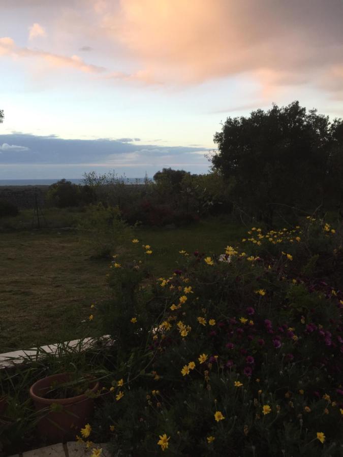 Mareulivi Bed and Breakfast Ostuni Εξωτερικό φωτογραφία